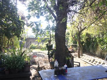 place photo 37