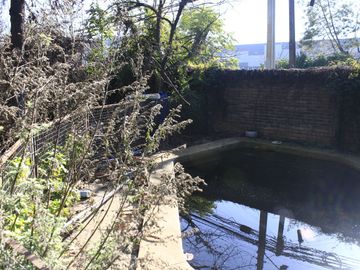 place photo 38