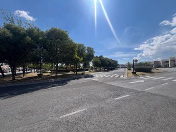 place photo 39