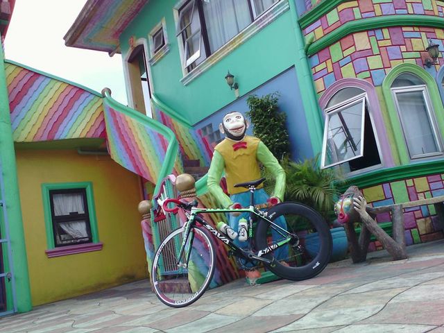 place photo 11