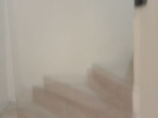 place photo 54