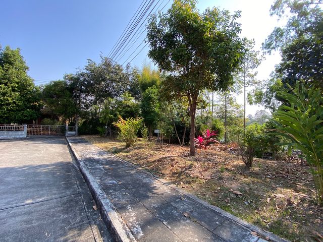 place photo 54