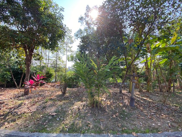 place photo 55