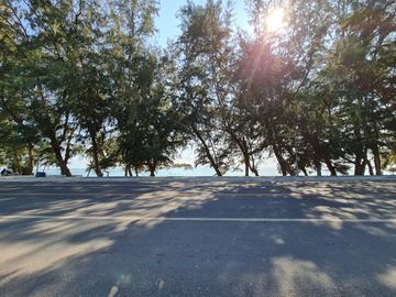 place photo 57