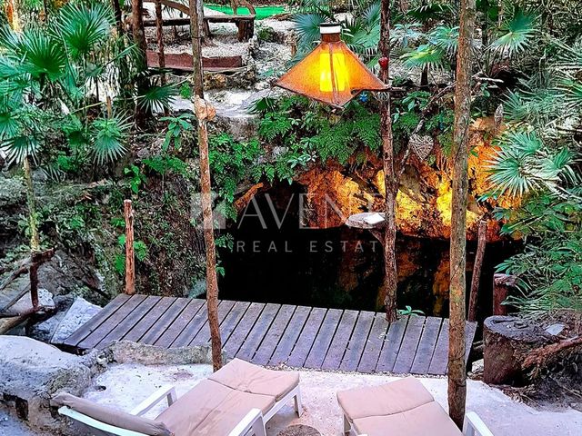 place photo 17