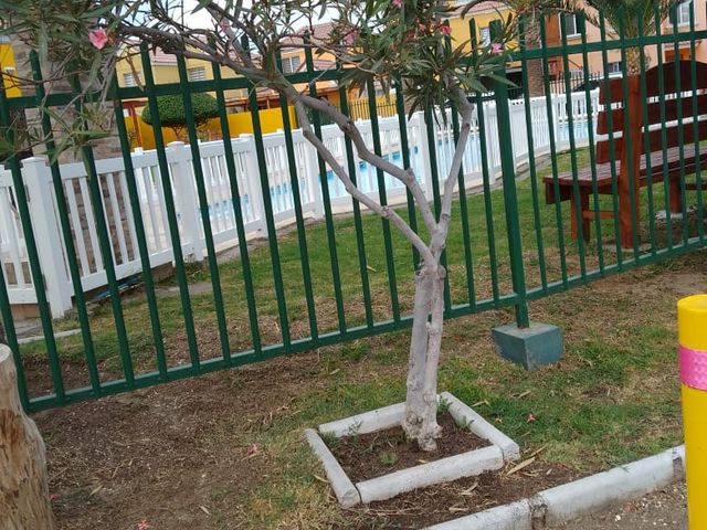 place photo 22