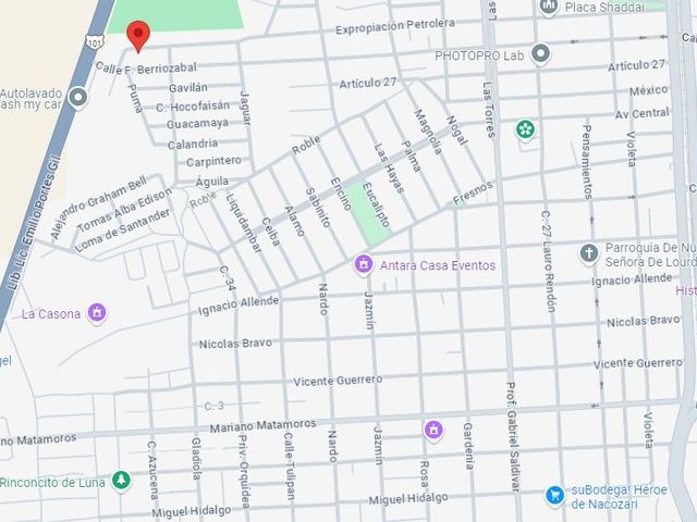 place photo 8