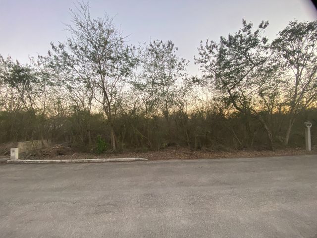 place photo 14