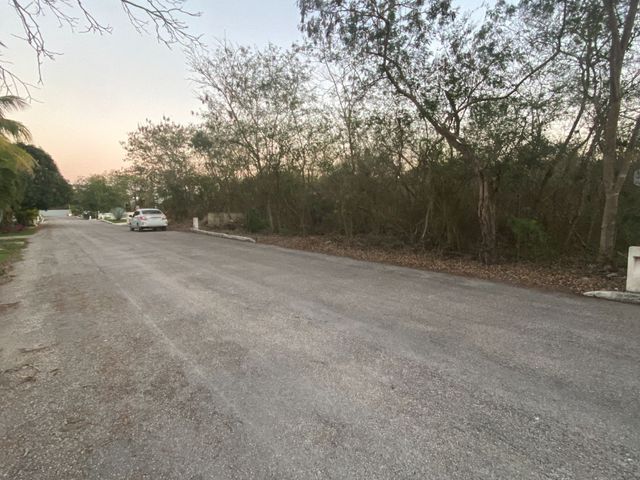 place photo 16