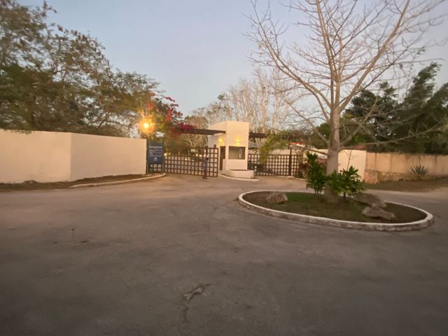 place photo 19