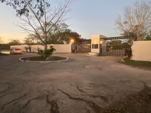 place photo 20