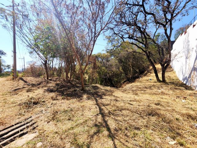 place photo 24