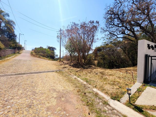place photo 25