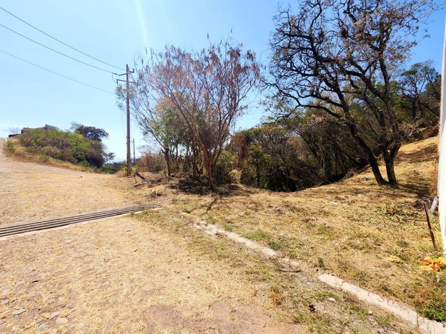 place photo 21