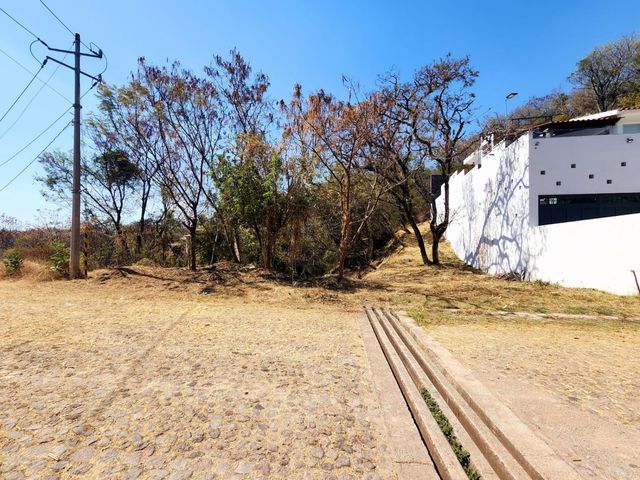 place photo 27