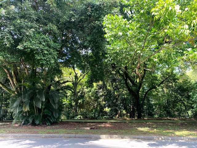 place photo 31