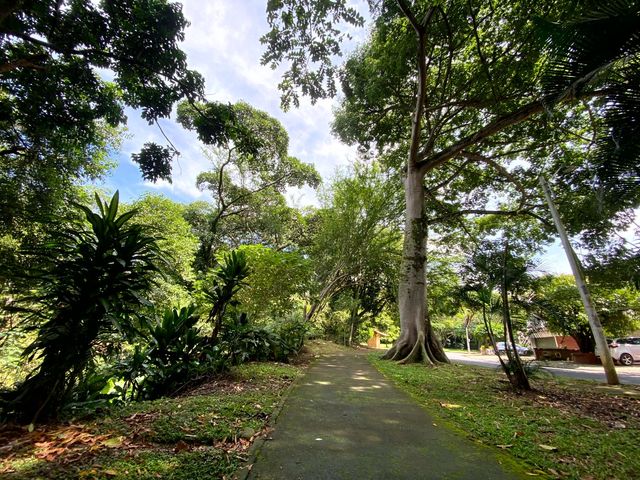 place photo 30