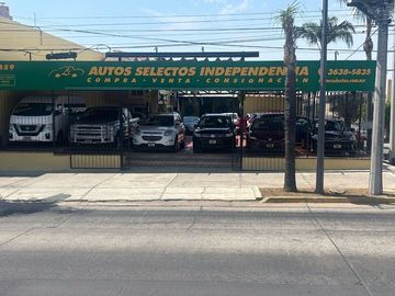 place photo 11