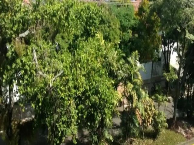 place photo 38