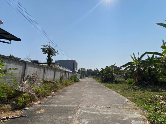 place photo 37