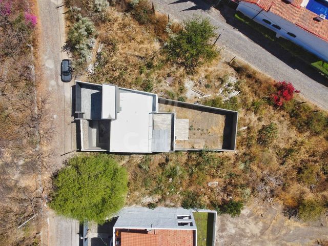 place photo 44