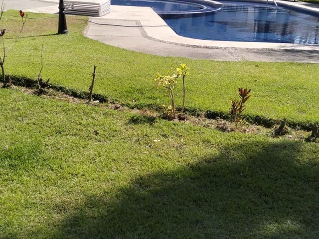 place photo 24
