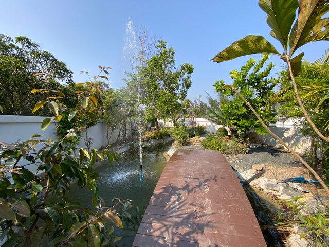 place photo 60