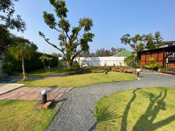 place photo 62