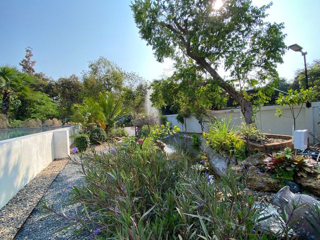 place photo 66