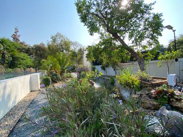 place photo 66