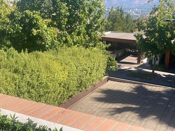 place photo 46