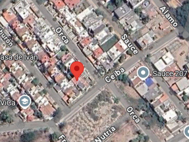 place photo 7