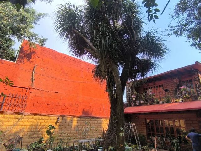 place photo 48