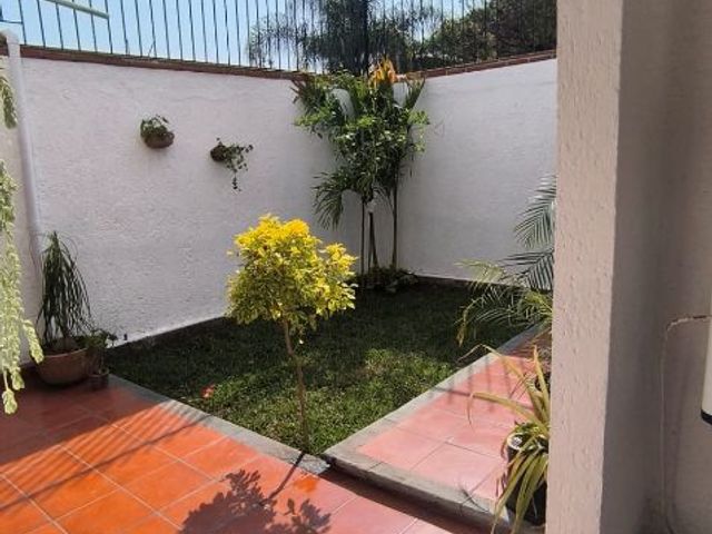 place photo 55