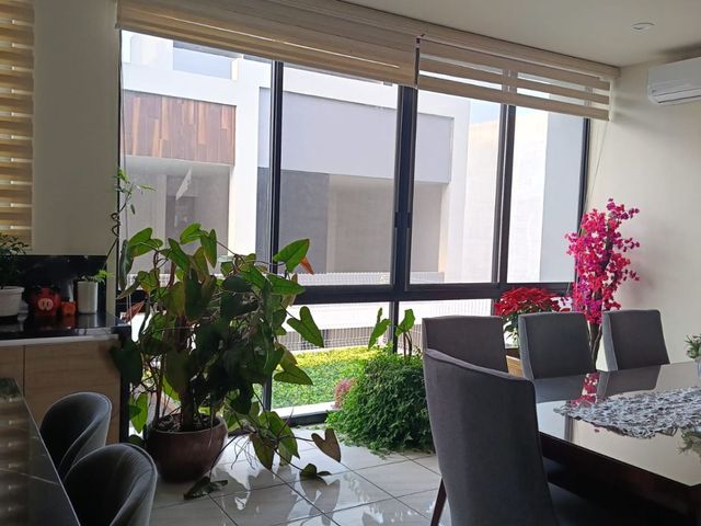 place photo 50