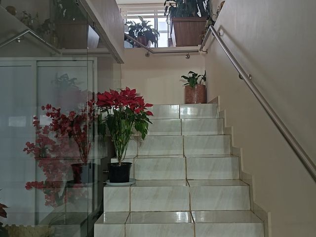 place photo 54