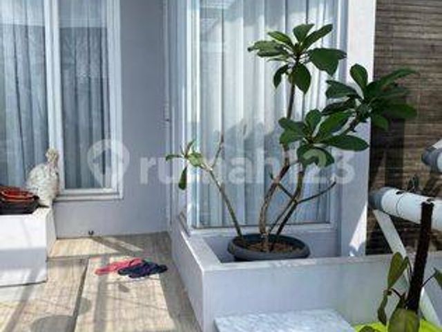 place photo 24