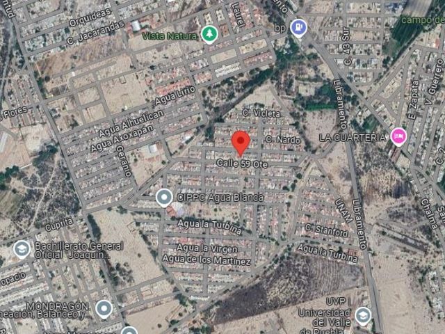 place photo 7