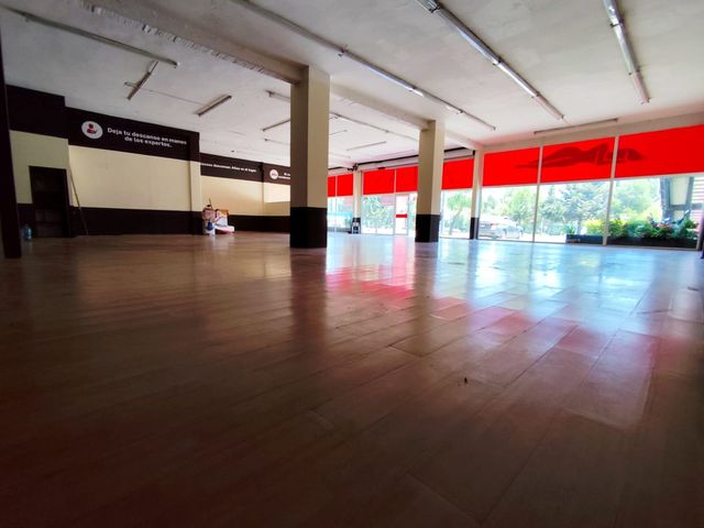 place photo 7