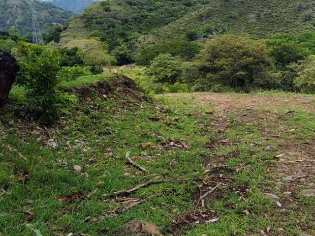place photo 30