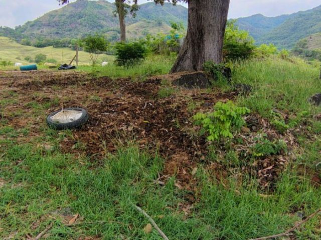 place photo 28