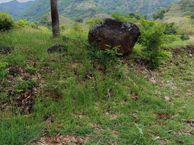 place photo 29