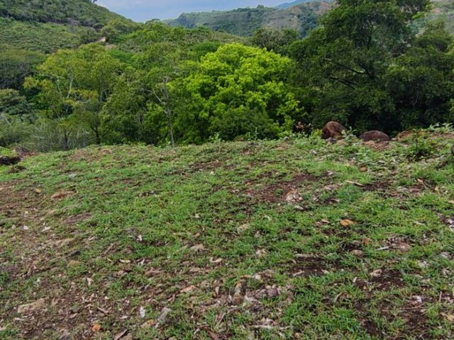 place photo 32