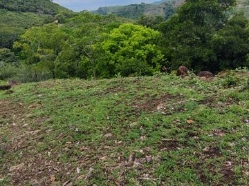 place photo 32