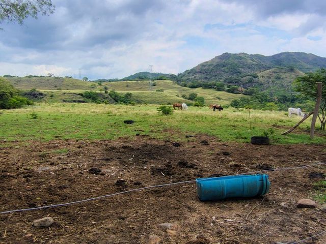 place photo 35