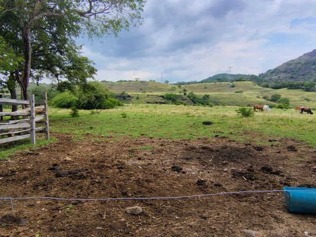 place photo 36