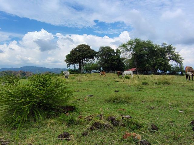 place photo 40