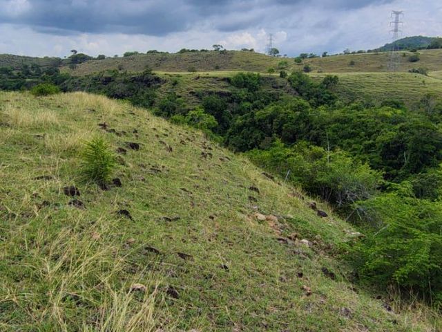 place photo 41