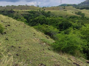 place photo 42