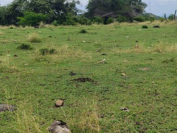 place photo 43